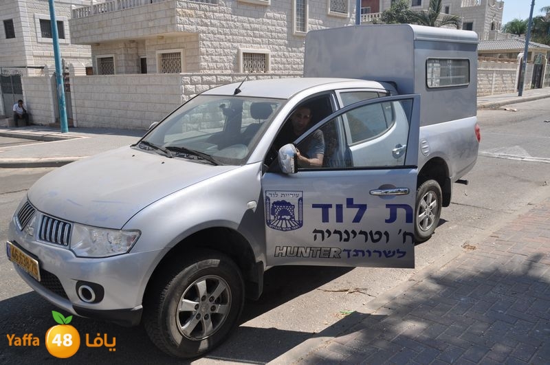 cat lud 910 (47).JPG